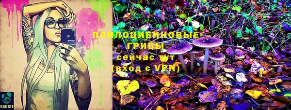 прущие крисы Алзамай