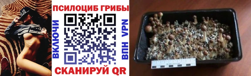 Галлюциногенные грибы ЛСД  Бирск 